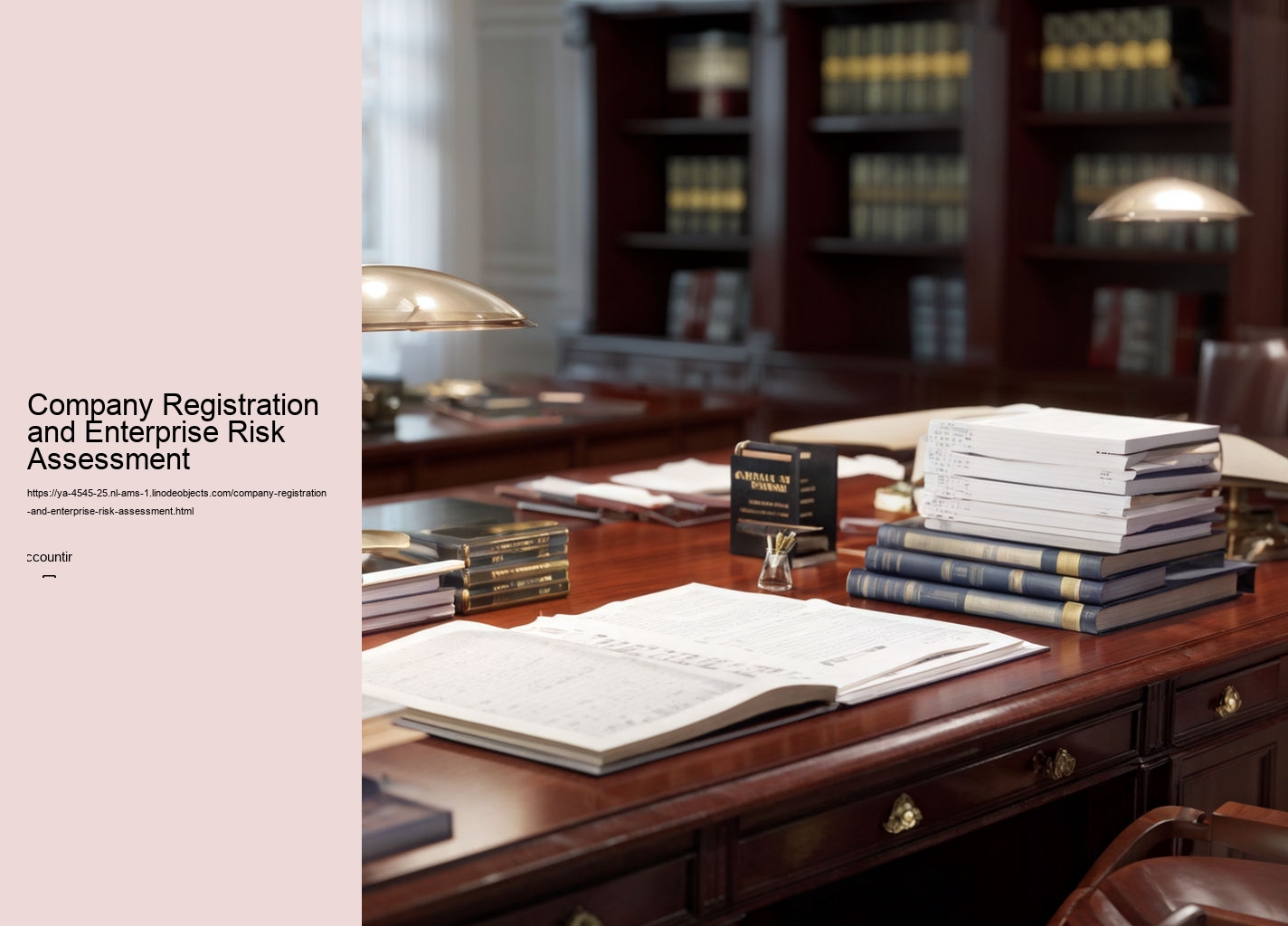 Company Registration and Enterprise Risk Assessment